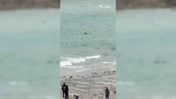 "Plus ça allait et plus ils étaient déportés" : à Saint-Malo, un couple piégé par la marée secouru de justesse