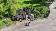 1 000 pneus en pleine nature : qui doit les enlever ?