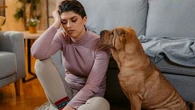 La compagnie d'un chien permet de réguler le stress selon une étude
