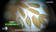 Ils inventent les plantes du futur