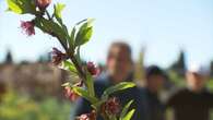 Restrictions d’eau : l’inquiétude des propriétaires de potager privés d’arrosage