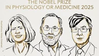 Nobel de médecine : un trio de chercheurs lauréat de l'édition 2025 pour ses travaux sur le système immunitaire