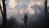 VIDÉO - Sud-Est : les vents violents entraînent des dizaines de départs de feu