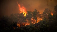 Les incendies en Grèce ou en Algérie imputables à la consommation de viande, selon Sandrine Rousseau