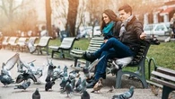 Avez-vous le droit de donner à manger aux pigeons ?