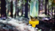 Avec ces pièges, vous allez dire adieu aux insectes qui gâchent vos journées et soirées d'été