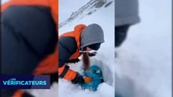 VÉRIF' - Cette vidéo d'une alpiniste qui aurait perdu son bébé est-elle crédible ?
