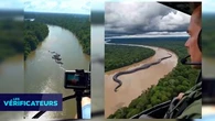 VÉRIF' - Vidéos virales d'anacondas géants en Amazonie : ces détails qui montrent que tout est faux