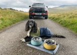 いすゞ『D-Max』で愛犬とアウトドアを楽しむ、公式アクセサリー英国発表…「Ruffwear」とコラボ