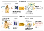 住友ゴム、ゴム内部構造の3次元可視化に成功…耐摩耗性能向上タイヤ開発へ