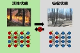 アイシンや東京大学、ディープラーニングに統計物理学の普遍法則を発見
