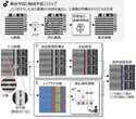 日立、半導体の欠陥を高感度検出する画像処理技術を開発