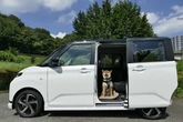 【ダイハツ ムーヴ 新型試乗】つい“ジャケ買い”しそうになる、プレーンな良き実用車…島崎七生人