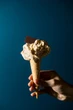 Le numerose declinazioni del gelato, nell’evento “Roma è Gelato”