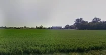 Bologna, rave party con mille persone in ex zuccherificio di Argelato. Multe per violazione delle norme anti-Covid