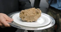 Tartufo, un’app certifica il Made in Italy: utilizza la tecnologia blockchain per difendere i produttori dalla concorrenza sleale