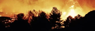 Incendies : Martigues, Ardèche, Brocéliande... Plus de 350 hectares détruits, des feux toujours en cours