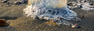 Des dizaines de plages fermées à cause des galères portugaises, une menace potentiellement mortelle