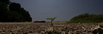 La Loire, en alerte, éprouvée par une sécheresse exceptionnelle