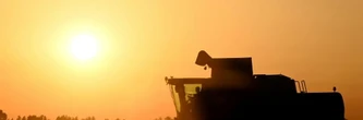 Agriculture: le Parlement adopte la loi Duplomb et la réintroduction sous conditions d'un pesticide