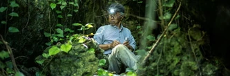 "Jusqu'au dernier": au Japon, des chercheurs d'os sur les traces des morts de la Seconde Guerre mondiale