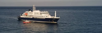 Hantavirus sur un bateau de croisière : l'infection est pire que prévue