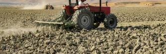 La recrudescence des chaleurs extrêmes pousse l'agriculture mondiale "à bout"