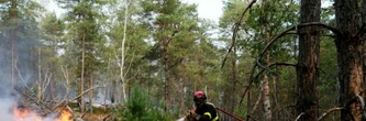 Un homme en garde à vue pour une tentative d'incendie mardi soir près de la forêt de Fontainebleau