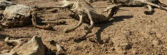 Climat: le pire des scénarios écarté, mais le meilleur aussi