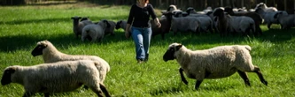 Une comédienne devenue éleveuse, un pari fou sauvé par une foncière solidaire