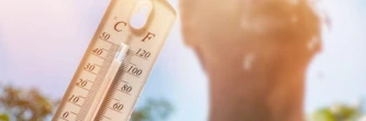 Canicule 2026 : à partir de quelles températures la France passe-t-elle le cap ?