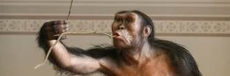 Premier voyage en Europe de l'australopithèque Lucy, exposée à Prague