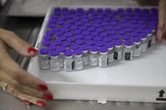 Vaccin Pfizer : une deuxième dose douze semaines plus tard ?