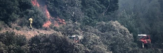 Incendies : la Drôme et les Pyrénées-Orientales en proie aux flammes, le point sur les feux