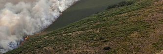 Lutte sans répit contre les incendies en Espagne et au Portugal, déjà six morts