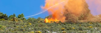 Incendies : déjà 2000 hectares brûlés, alerte maximale dans ces départements pour feux de forêts