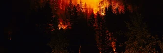 Vigilance feux de forêt : une dizaine de départements en alerte, le danger est là !