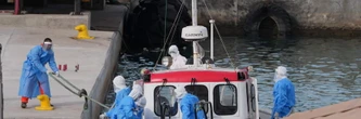 Hantavirus sur un bateau de croisière : combien de cas confirmés ? Le bilan de l'OMS