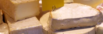 Larceveau-Arros-Cibits : des tirs entendus devant une fromagerie, un conflit de voisinage évoqué