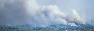 Feux de forêt: à la mi-saison estivale, déjà 15.000 hectares brûlés en France