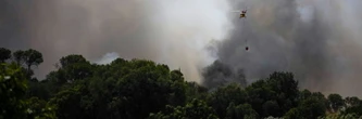 Un feu de forêt fait 12 morts près d'Almeria, dans le sud de l'Espagne