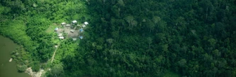 Amazonie brésilienne: remonter la trace d'indigènes isolés pour protéger la forêt