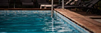 Cafards, bactéries dans la piscine... Le calvaire de vacanciers dans un établissement 4 étoiles en Vendée