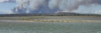 Incendie dans l'Aude : le feu se propage près de Narbonne