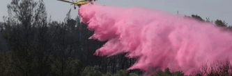 Des routes rouvertes en Israël mais les pompiers luttent toujours contre le feu