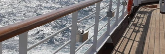 Hantavirus sur un bateau de croisière : on en sait plus sur les décès et la contamination des passagers