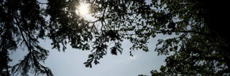 La canicule historique à peine terminée, le mercure s'envole à nouveau en France