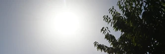 Canicule : les températures baissent enfin sauf dans ces départements, les prévisions météo de ce dimanche