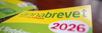 Le brevet 2026 reporté à cause de la canicule ?