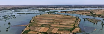 Dans l'est syrien, la crue de l'Euphrate emporte la récolte d'agriculteurs